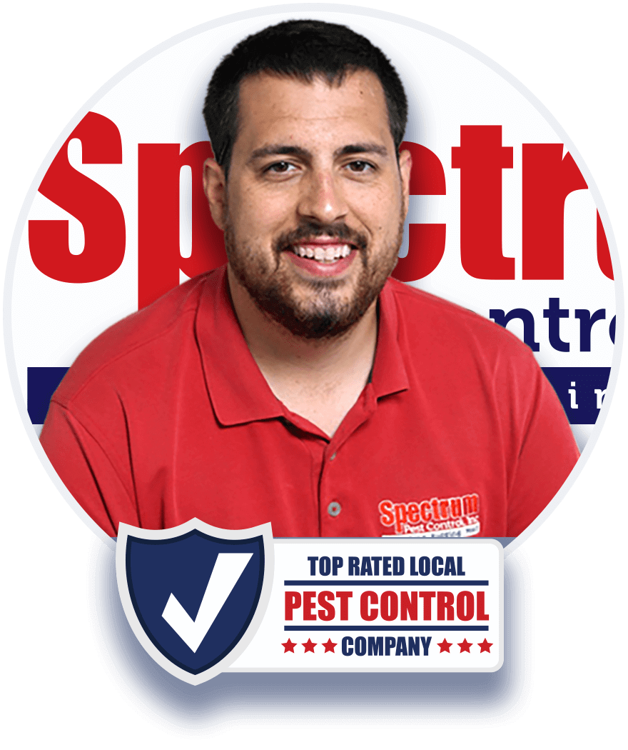 pest control service in pittsburgh pa