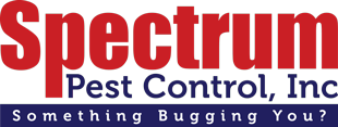 House Cricket Identification & Info  Arrow Exterminating Company, Inc. -  Pest Control and Exterminator Services