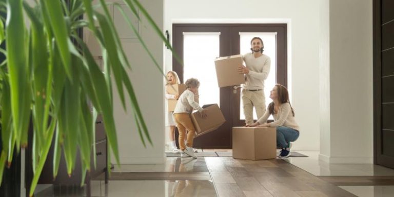Read more about the article Why Preventive Pest Control Matters Even If Your Home Is Clean