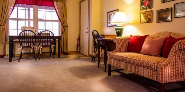 Read more about the article Bed Bugs vs. Carpet Beetles