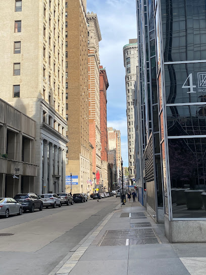 Read more about the article Spectrum Pest Control: Your Downtown Pittsburgh Partner in Pest Management