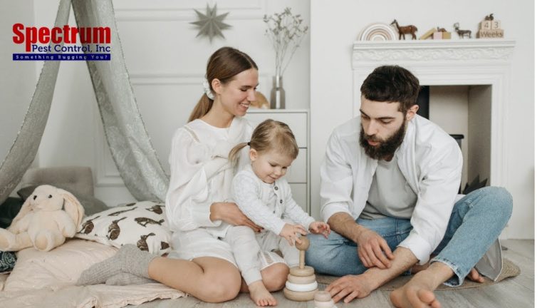 Read more about the article How to Prepare Your Home for Bed Bug Treatment in Butler, PA