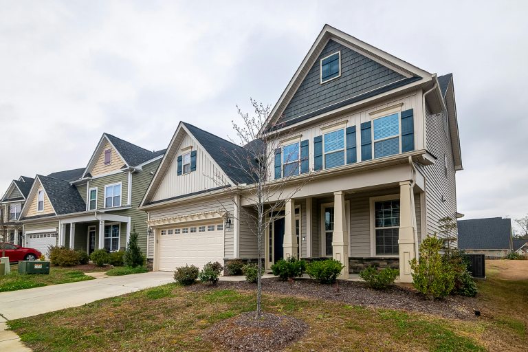 Read more about the article How Rats and Mice Find Their Way Into Cranberry Twp Homes