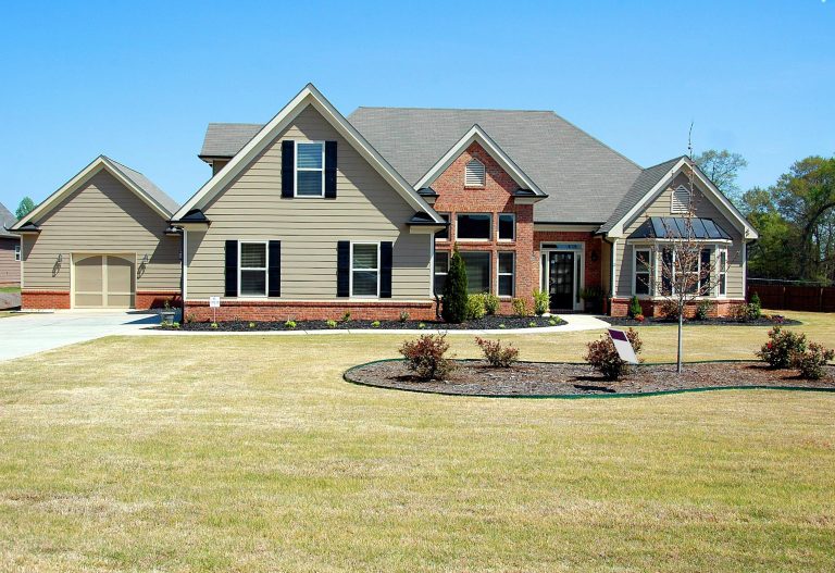 Read more about the article Bed Bug Prevention Tips for Butler PA Homeowners