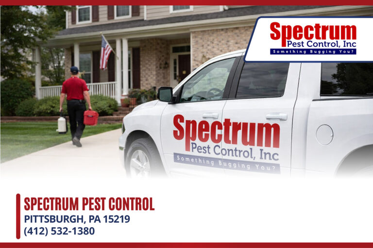 Read more about the article 5 Signs You Have Bed Bugs in Your Pittsburgh Home