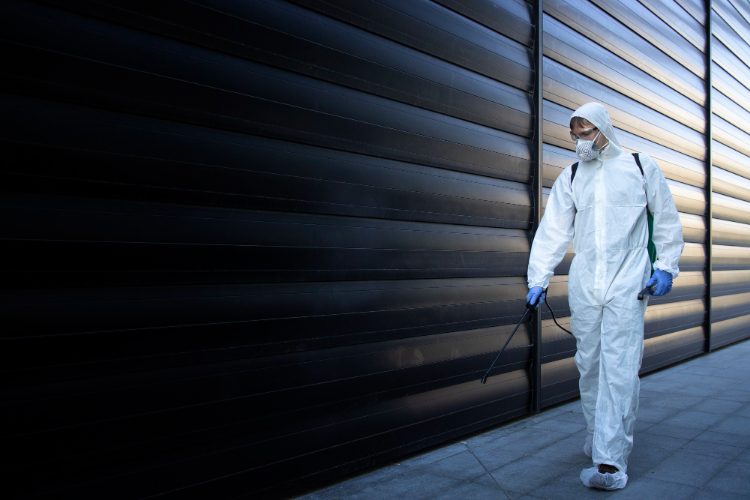 Read more about the article Do You Really Need Emergency Pest Control? Know When to Act Fast